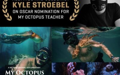 AFDA ALUMNUS AND COLOURIST KYLE STROEBEL ON OSCAR NOMINATION FOR MY OCTOPUS TEACHER